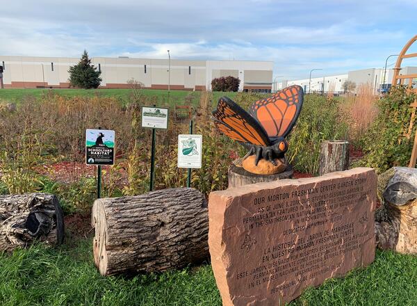 School garden with a large monarch butterfly sculpture.
