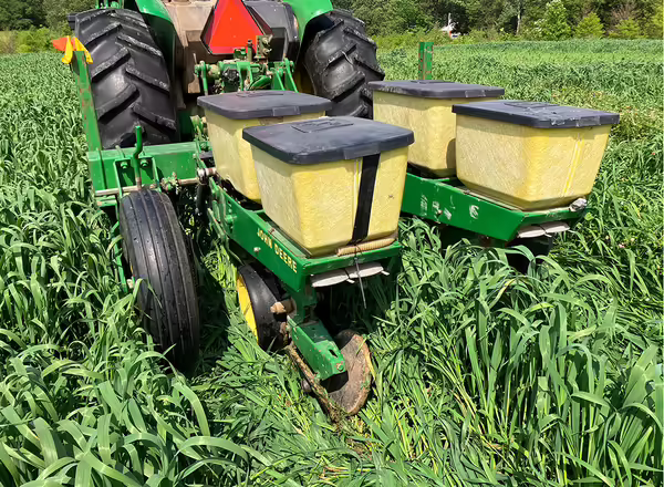 tractor pulling a no till drill through a field of green cover crops