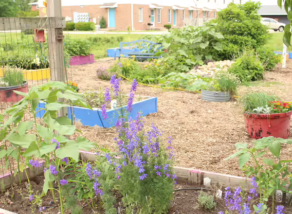 Garden