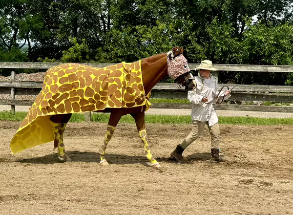 Gabbi Kelly, Top Notchers 4-H Club, competed in the costume contest during the 4-H Horse Show.