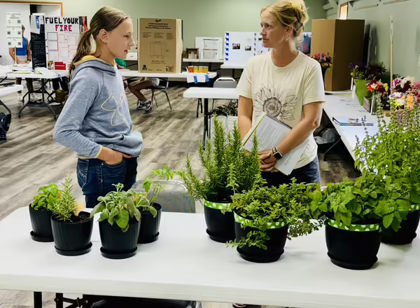 Madelynn Redfearn, Scales Mound, discusses her project with Judge Bridget Zurcher during the 2024 General Projects judging.