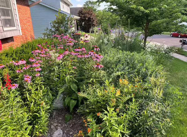 landscaping with native plants
