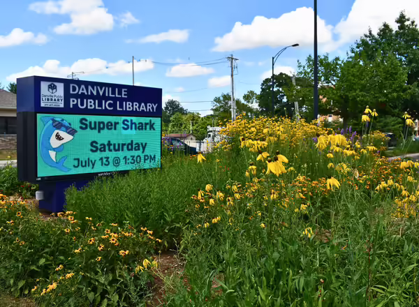 Flowers in front of a digital sign