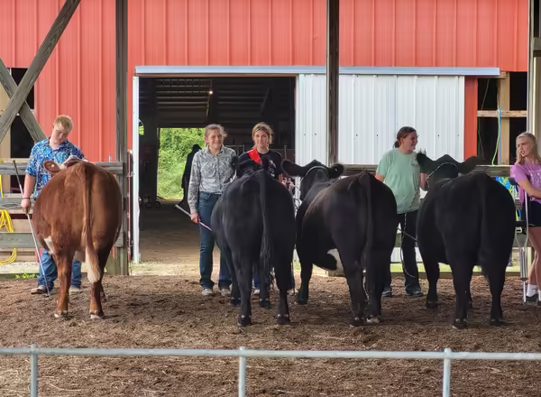 Pearl City Hornet 4-H’ers with a Club Exhibit at the beef show