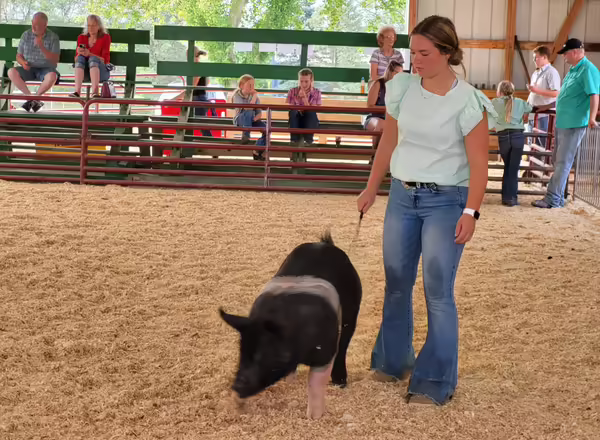 Jorja Johnson with her 4-H Pig