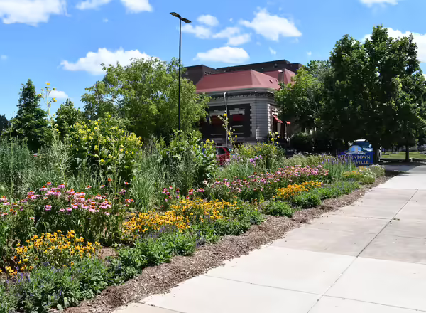 Many colorful native plants in a row along a sidewalk in front of a brick building under a blue sky with clouds.