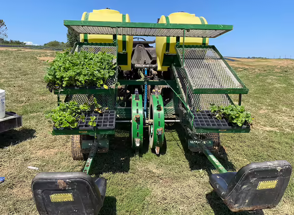 equipment pulled behind tractor that punches holes to set plug plants