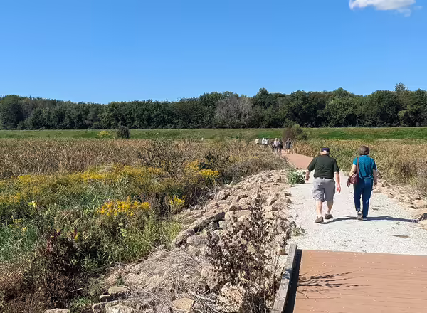 People walk down a pathway through a wetland
