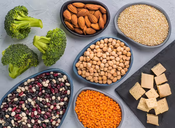 vegetarian protein sources