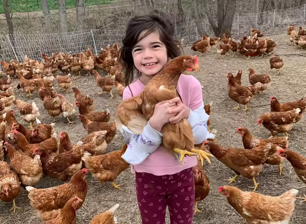 Clint's daughter holds a chicken