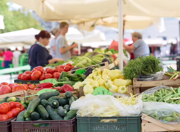 wide variety of fresh produce at a local farmers market