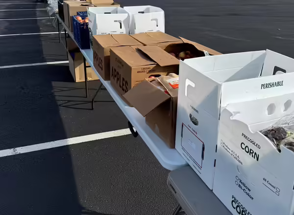 boxes full of food