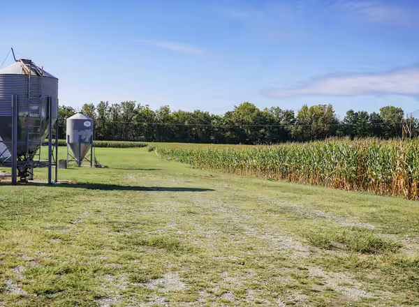 Corn field and grain bin on Indian Point Ranch