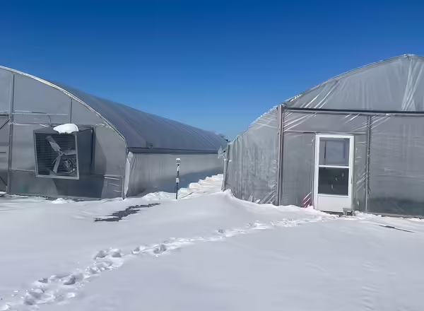 snow covering the ground outside of two greenhouse structures