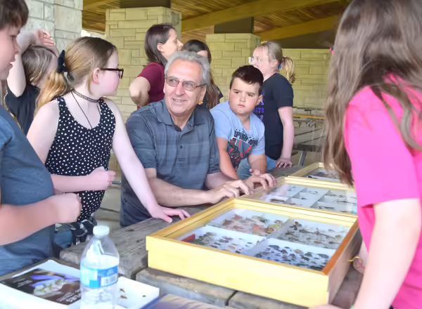 A man shows pinned insects to a group of children