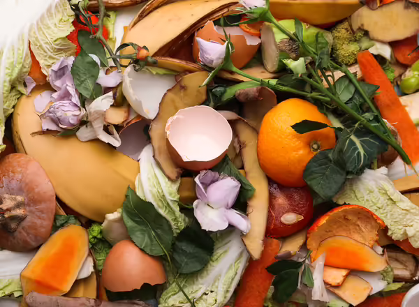 Food scraps