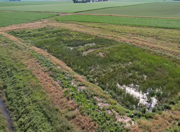 Constructed wetland in Marshall County, IL