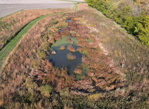 Constructed wetland in Bureau County, IL