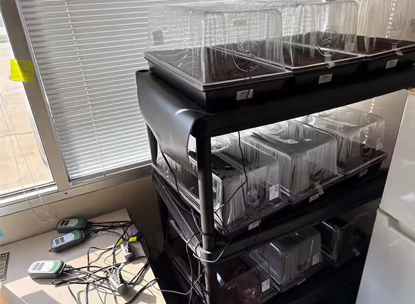 stand with trays on each level with clear plastic domes over the top of each tray