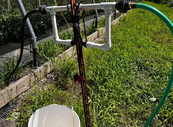 A watering system with a bucket and hoses