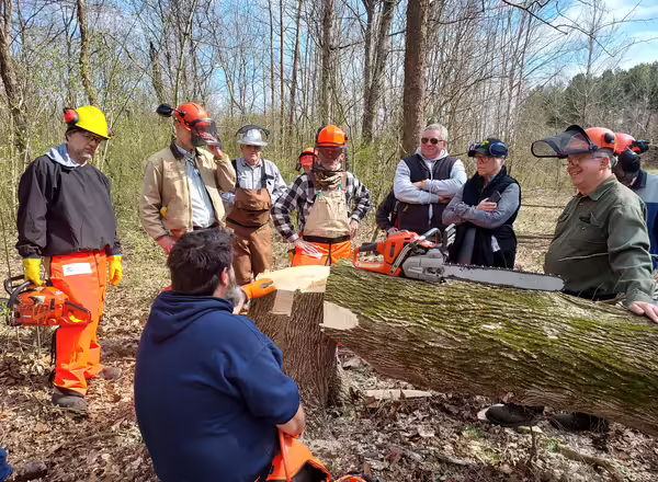 A group of people in safety gear stand around a fallen tree