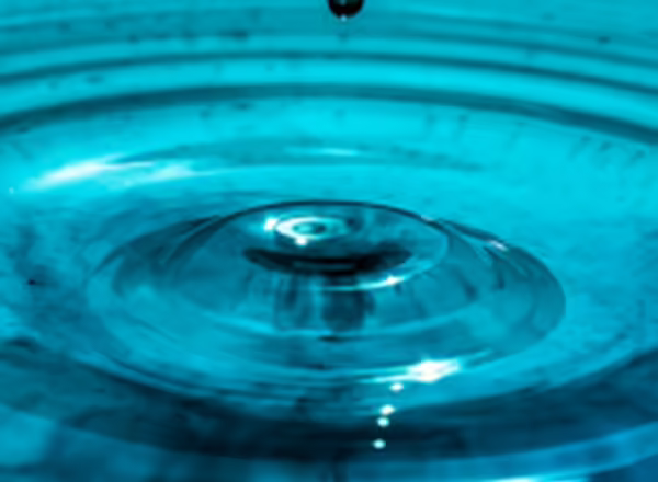 raindrop making ripples in water