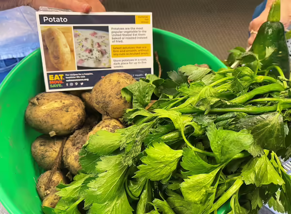 green container with harvested potatoes and celery with a recipe card