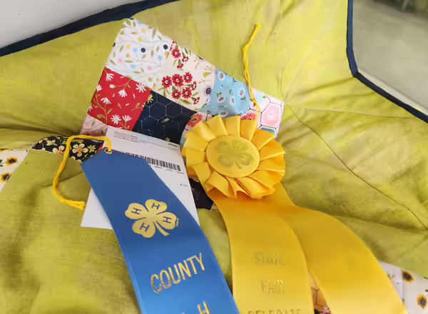 4-H project