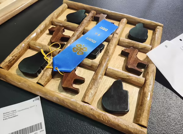 4-H project