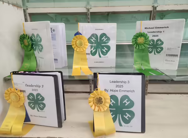 4-H projects