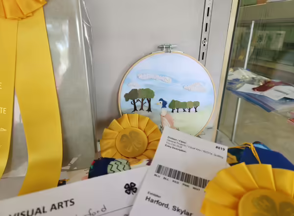 4-H project