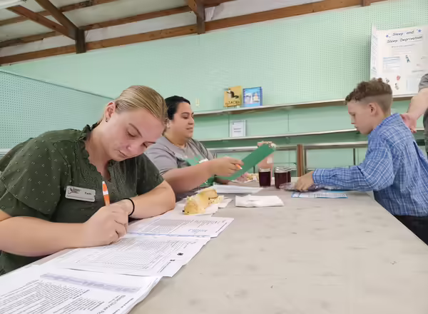 4-H member getting judged