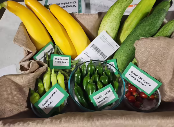 veggies