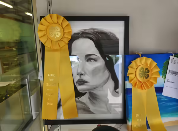 4-H project