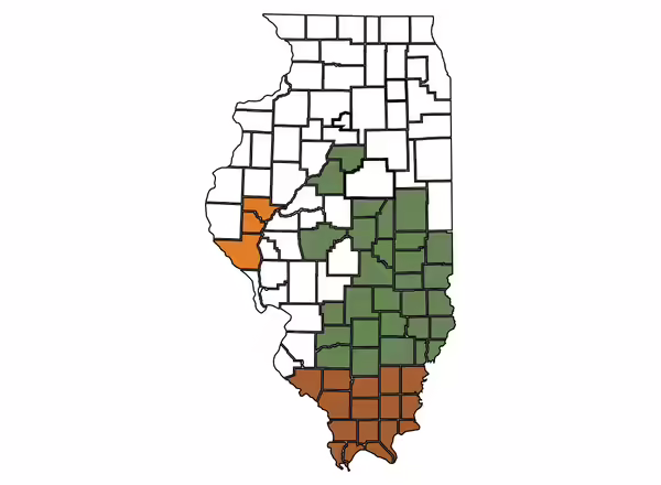 Map of Illinois with counties participating in Hunters Feeding Illinois in green (Illinois Extension partners), orange (Access Illinois Outdoors partners), and brown (Southern Illinois Food Pantry Network Partner). The counties not participating the program are in white. The participating counties are listed on the website. 