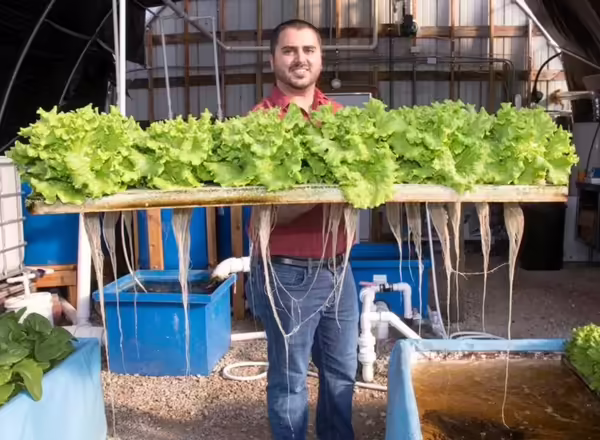Tony Stirling holds a rack of hydroponic lettuce