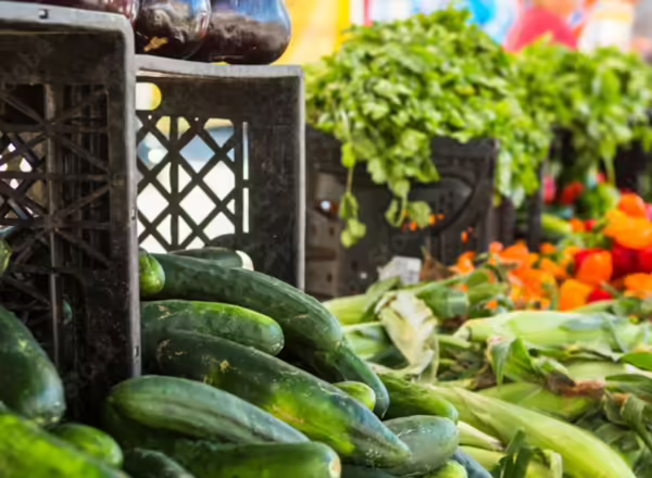 cucumbers and corn on display