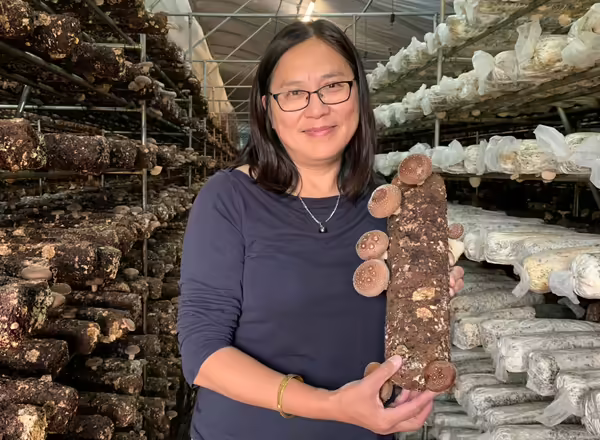 mei shao holds a shitake mushroom log