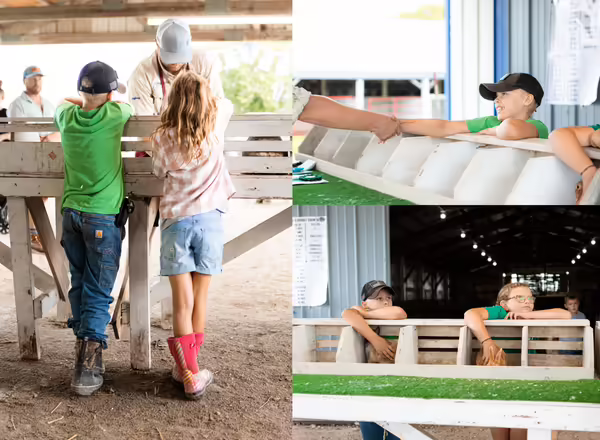Galloway participates in 4-H judging with other 4-H members