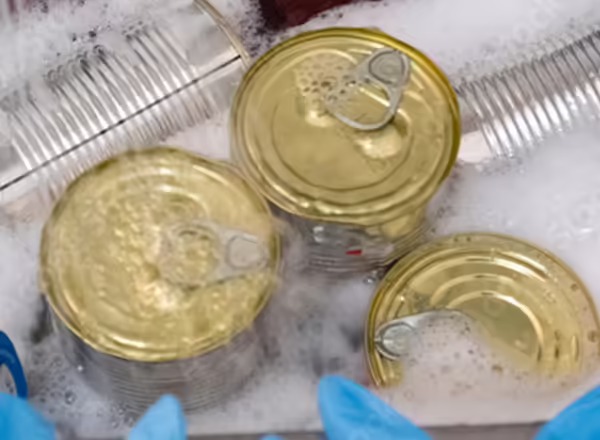 canned food in sick of soapy water