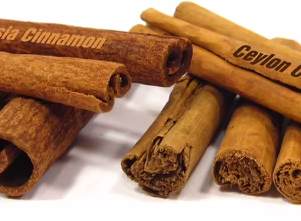cassia and ceylon cinnamon sticks