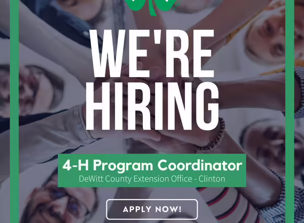 DeWitt County 4-H Program Coordinator Position opening announcement
