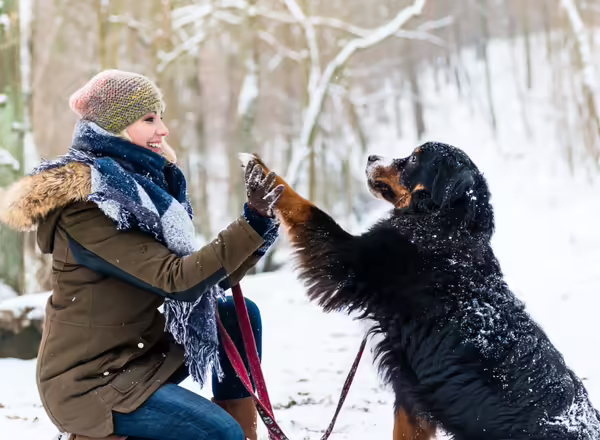 person giving high five to dog outside in snow