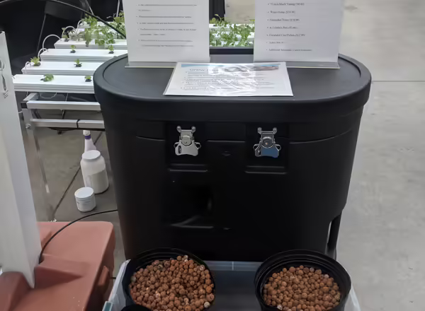 ebb and flow hydroponic set up