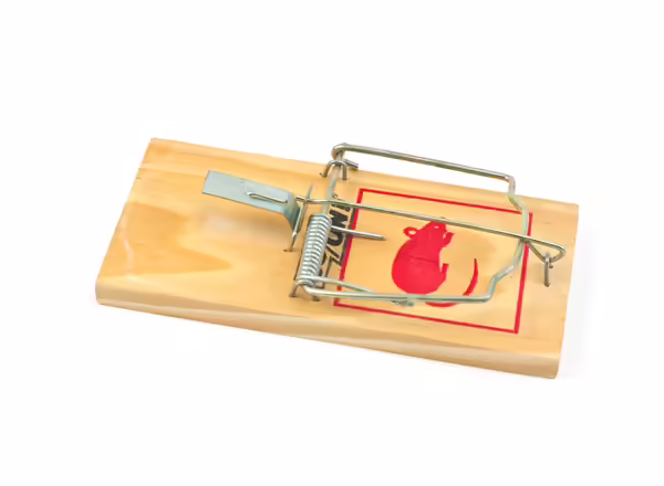 Typical mouse snap trap