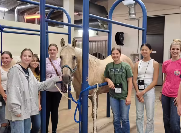 Group of students stand with a horse