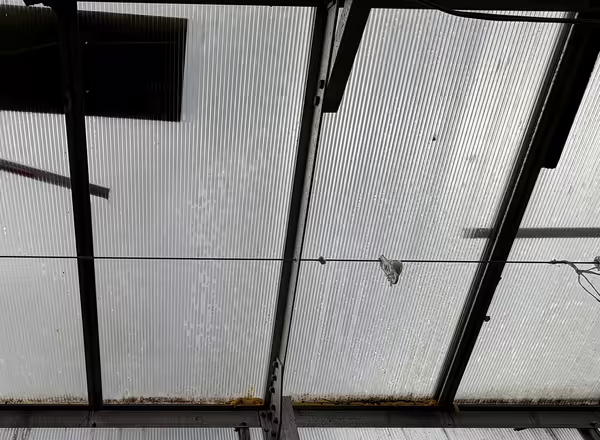 Clear polycarbonate sheets with multiple holes covering the roof of a greenhouse