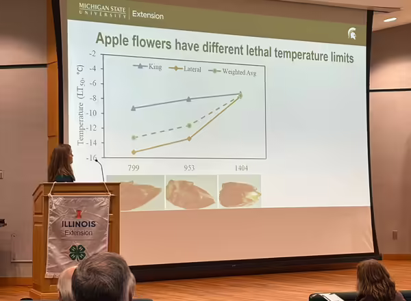 A person standing in front of a screen giving a presentation on a stage