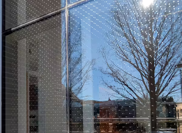 Four-paned window with white dots embedded. A tree and another building are reflected in the glass. 
