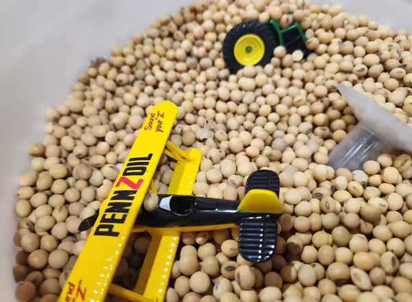 A bucket of soybeans with random toys inside
